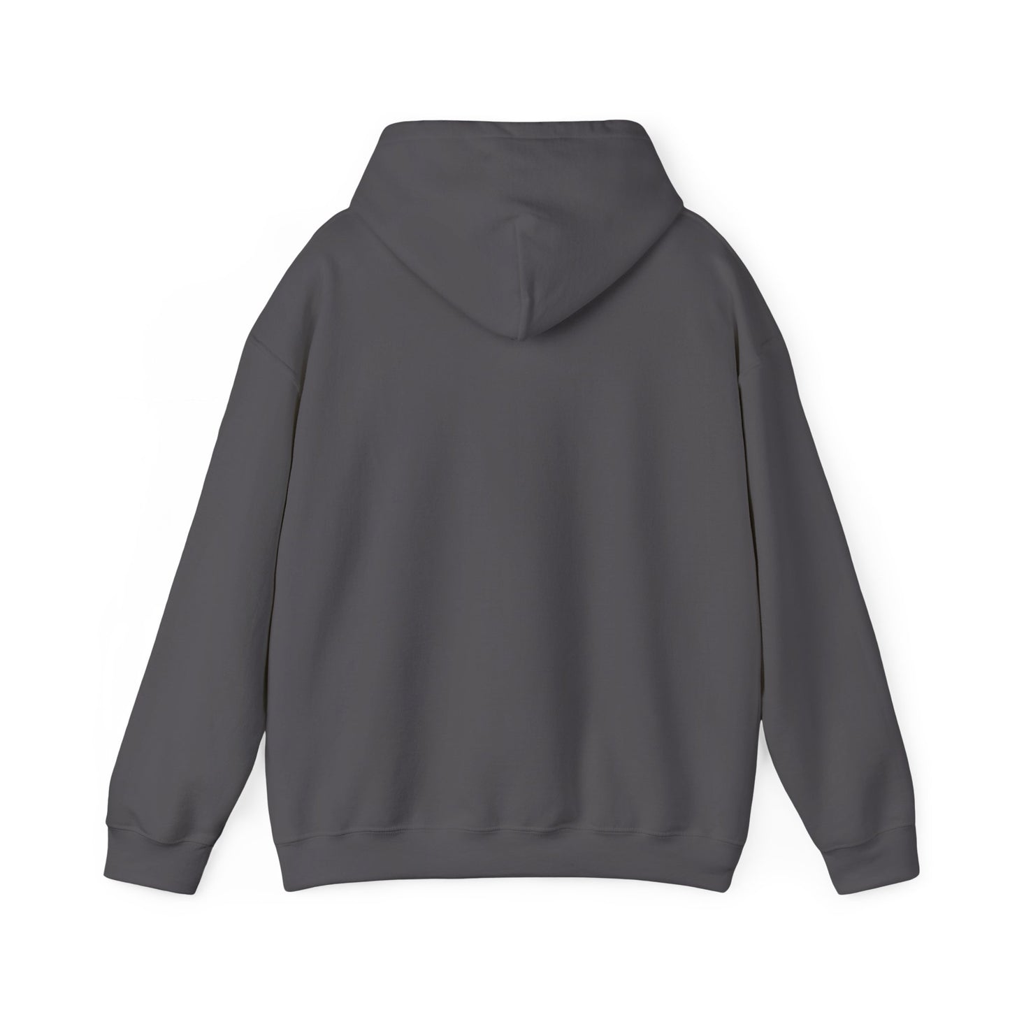 The OG Hoodie – Adventures Gone Wrong Edition