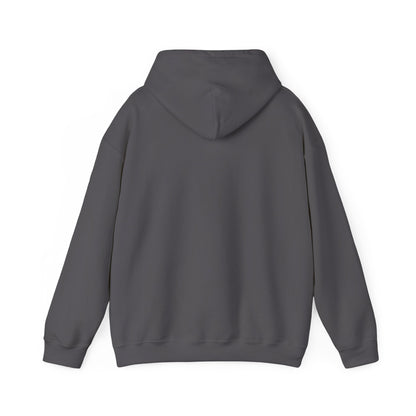 The OG Hoodie – Adventures Gone Wrong Edition