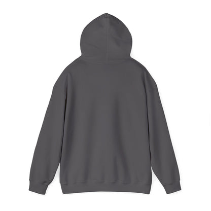 The OG Hoodie – Adventures Gone Wrong Edition