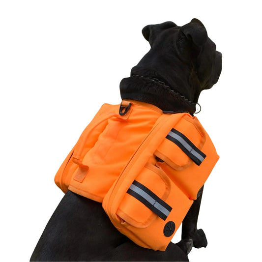 Trail Pack for Chaos Beasts